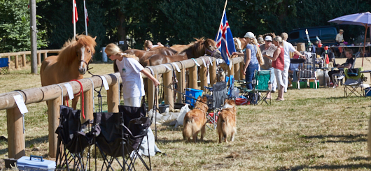 Gørlev Horse Show Gørlev Horse Show